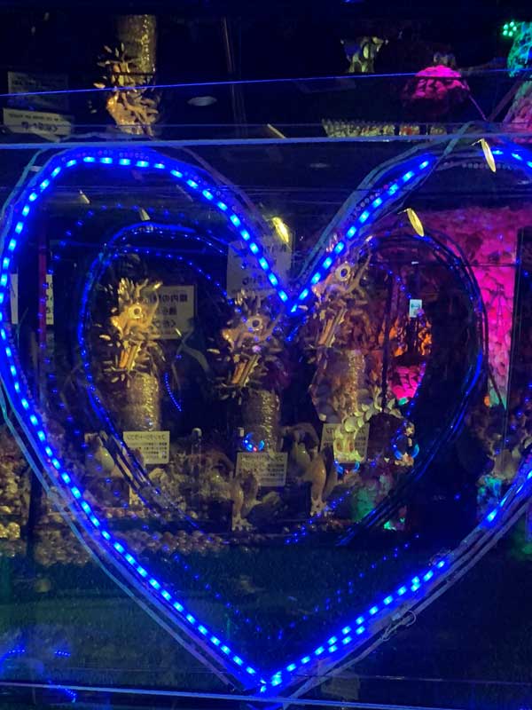 32-ハートの中にドラゴン_IMG_7278_2024-06-27-Thu