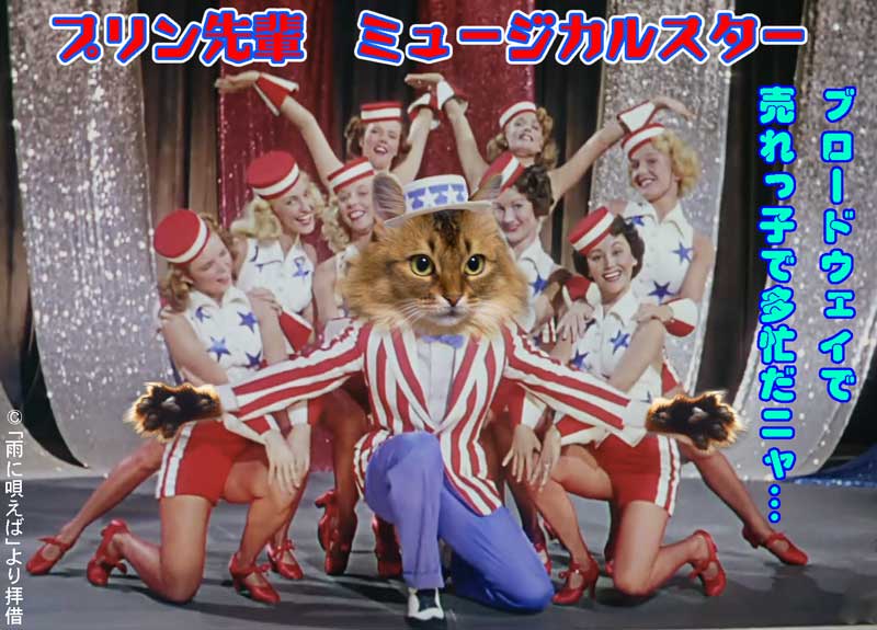 02-ミュージカルスターのプリン先輩_スクリーンショット-2024-07-30-232156