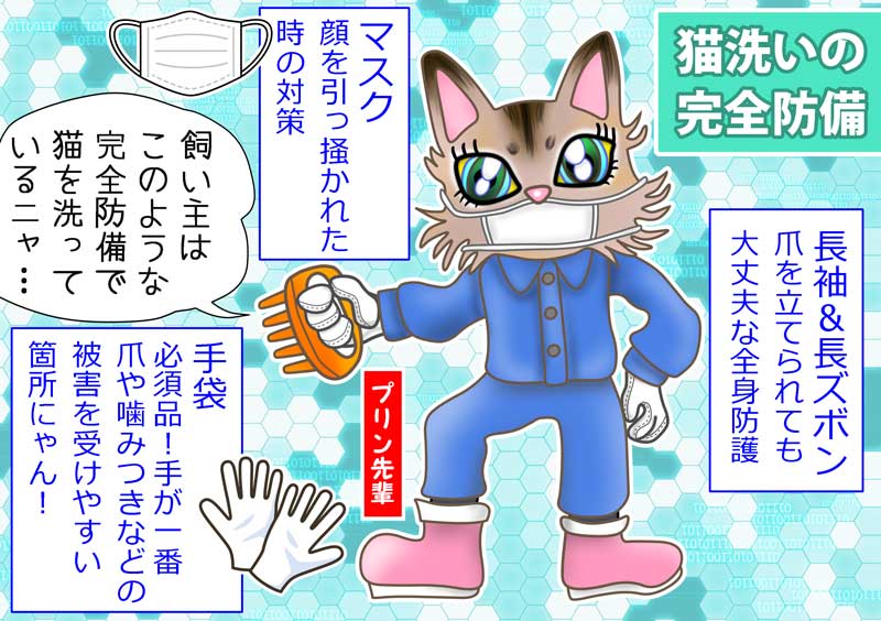 08_2022-08-27-Sat-03-猫洗いの完全防備