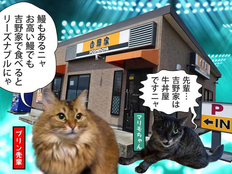 06-吉野屋_DSC01333