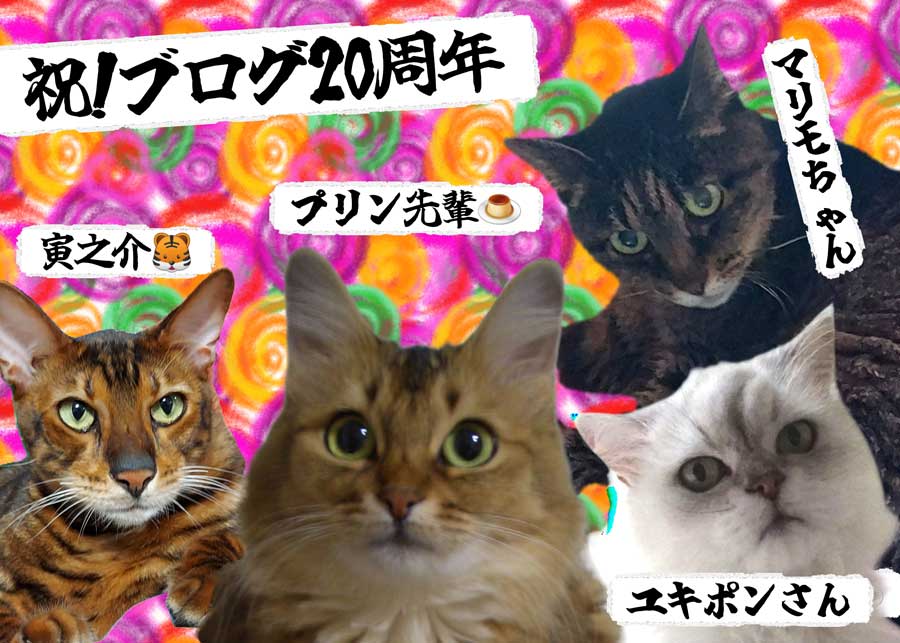 01-ブログ20周年
