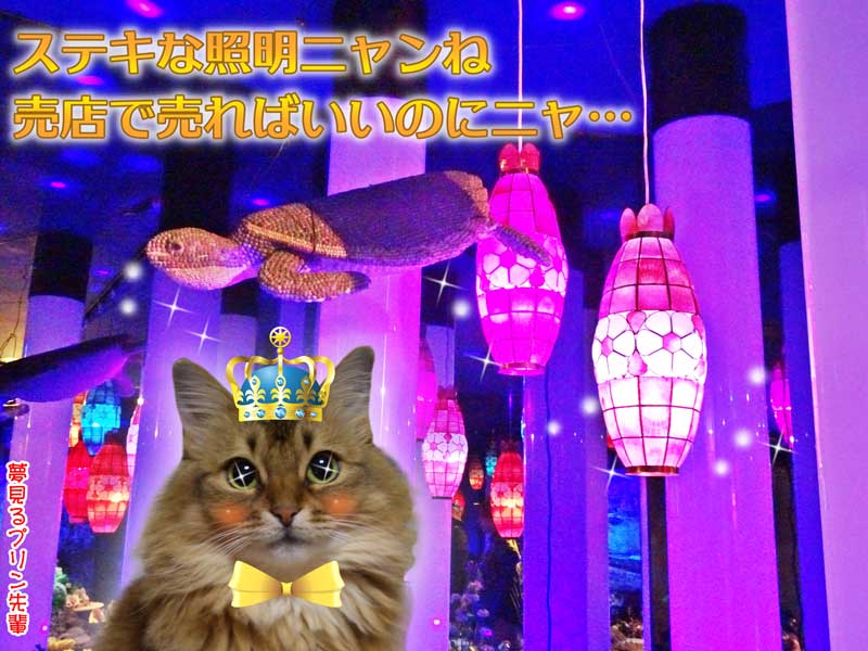 28-ステンドグラスの照明