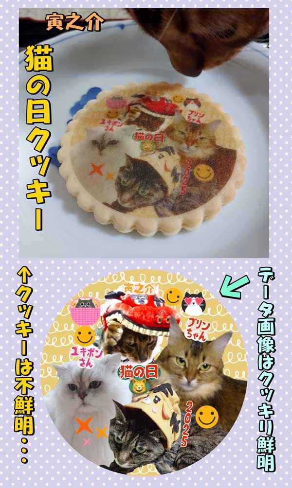 21-猫の日クッキー_20250222_125607
