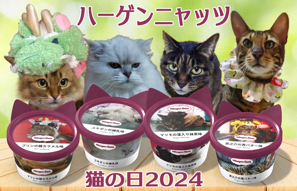 2024「猫の日」ハーゲンニャッツ＆寅之介は動物病院へ！