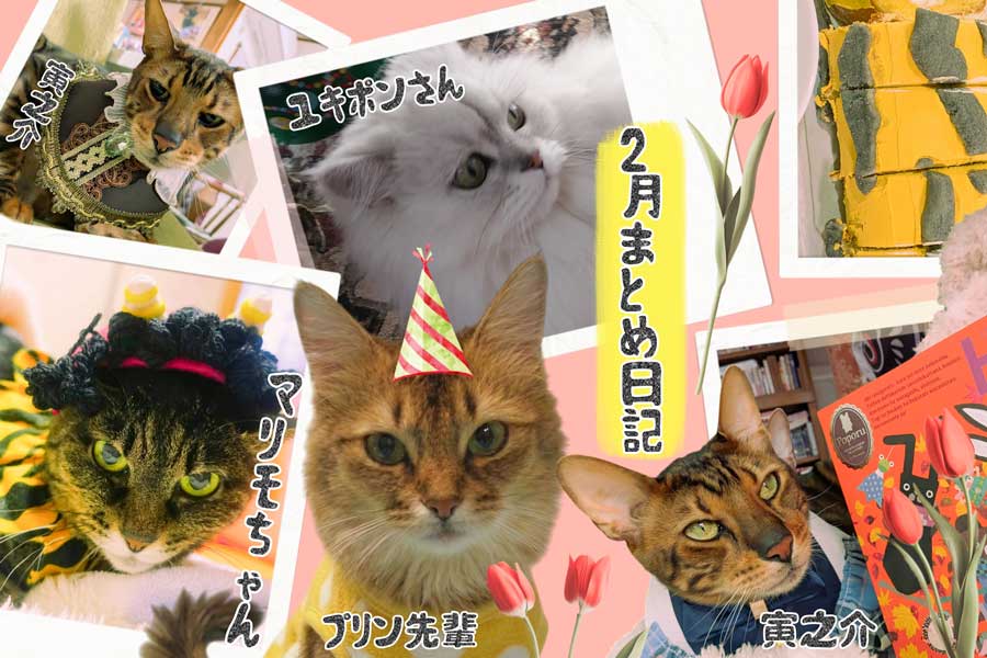 令和８年2月のまとめ日記_節分-バレンタイン-プリン先輩の23周年の生誕祭