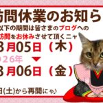 ブログ訪問お休みの告知ニャ♪_令和8年2026-福岡の美術館への旅_寅🐯も参加のお雛祭り🎎